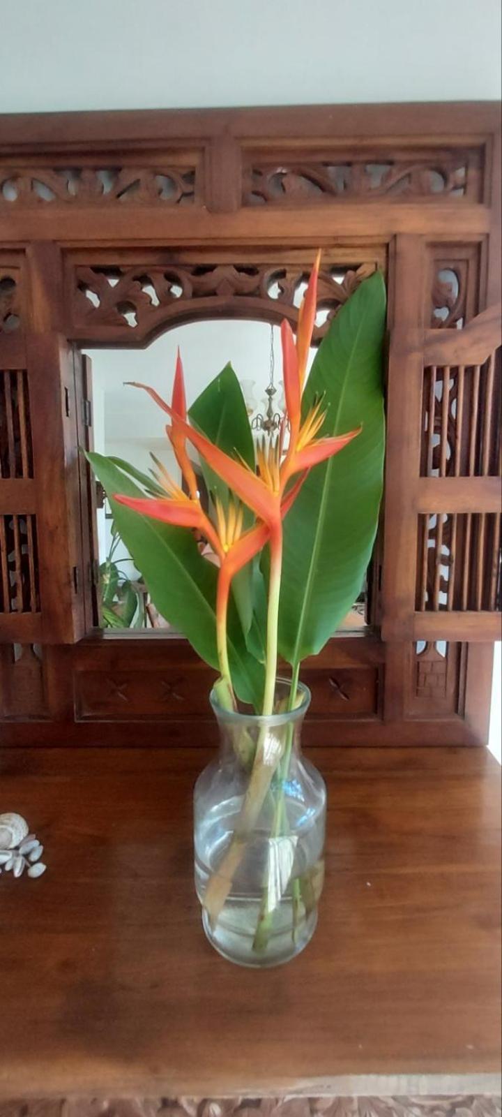 Residence71Nadi Fiji Luaran gambar