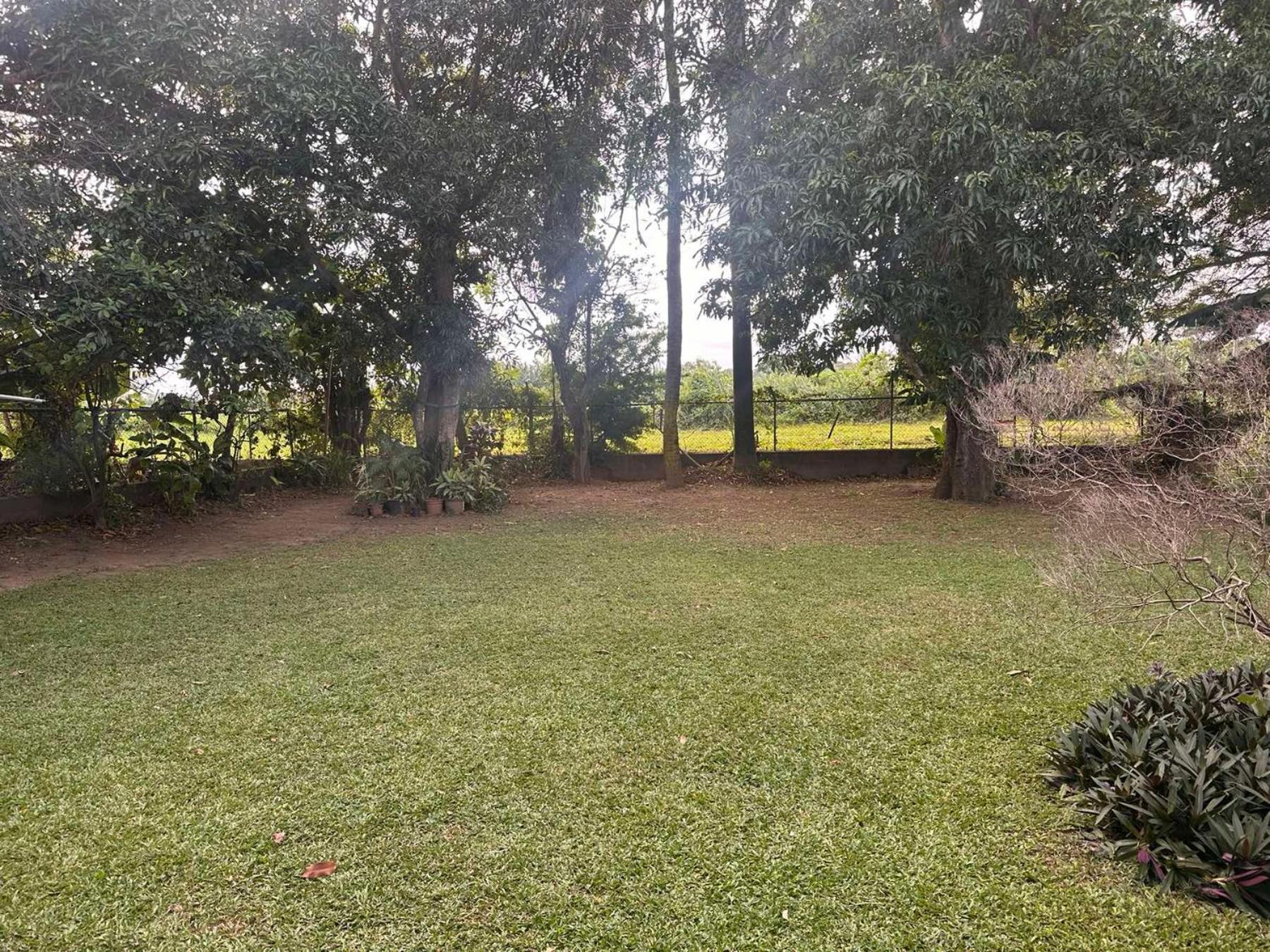 Residence71Nadi Fiji Luaran gambar